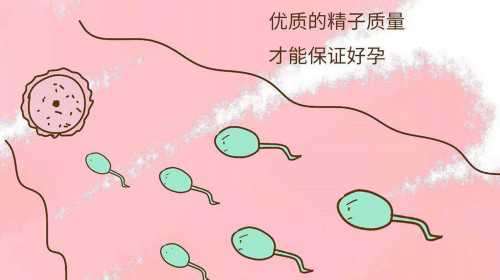上海公立供卵医院,「2023推荐」上海助孕机构排名
