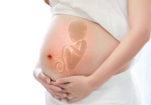 上海一妇婴生殖科做试管婴儿取卵和移植的医生都有哪些？